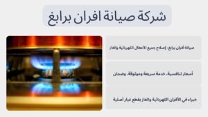 شركة صيانة افران برابغ